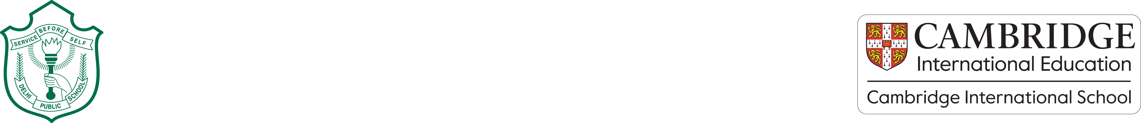 Nadergul Logo
